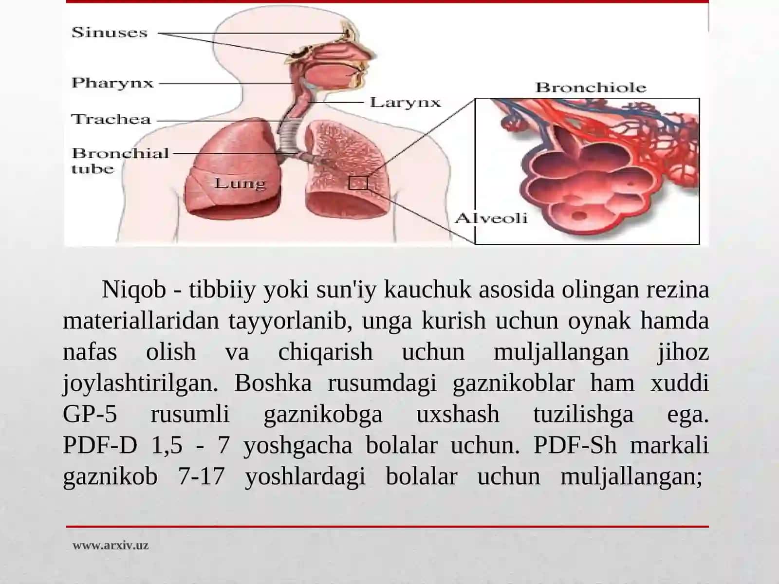 Nafas olish a’zolarini himoyalovchi vositalar 4