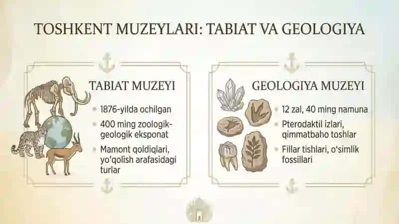 Toshkent shahrida joylashgan muzeylarga tashrif 4