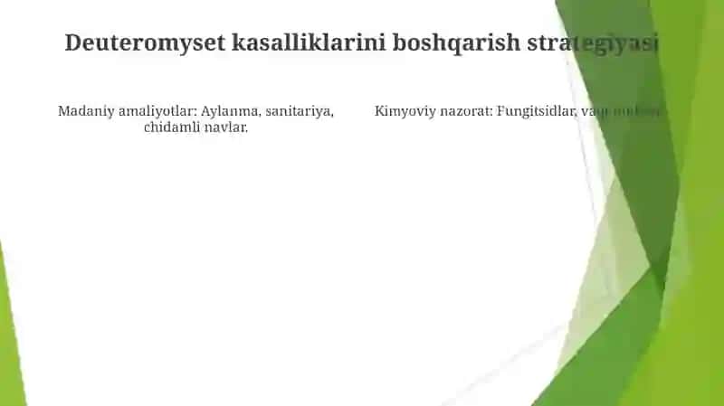 Deyteromitsetlar sinfi vakillarining o'simliklarda qo'zg'atadigan kasalliklari 4