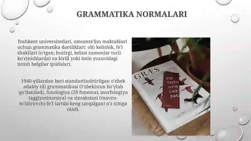O'zbek adabiy tili meʼyorlari 4