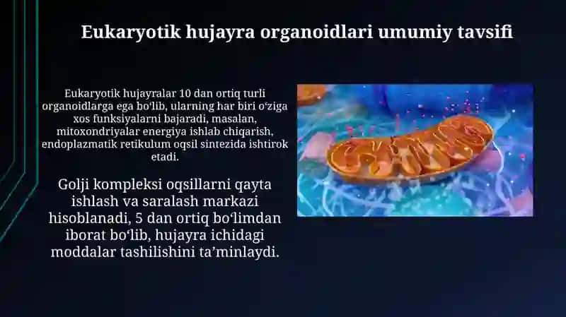 Eukariot hujayra genlari tuzilishi va funksiyalari 4
