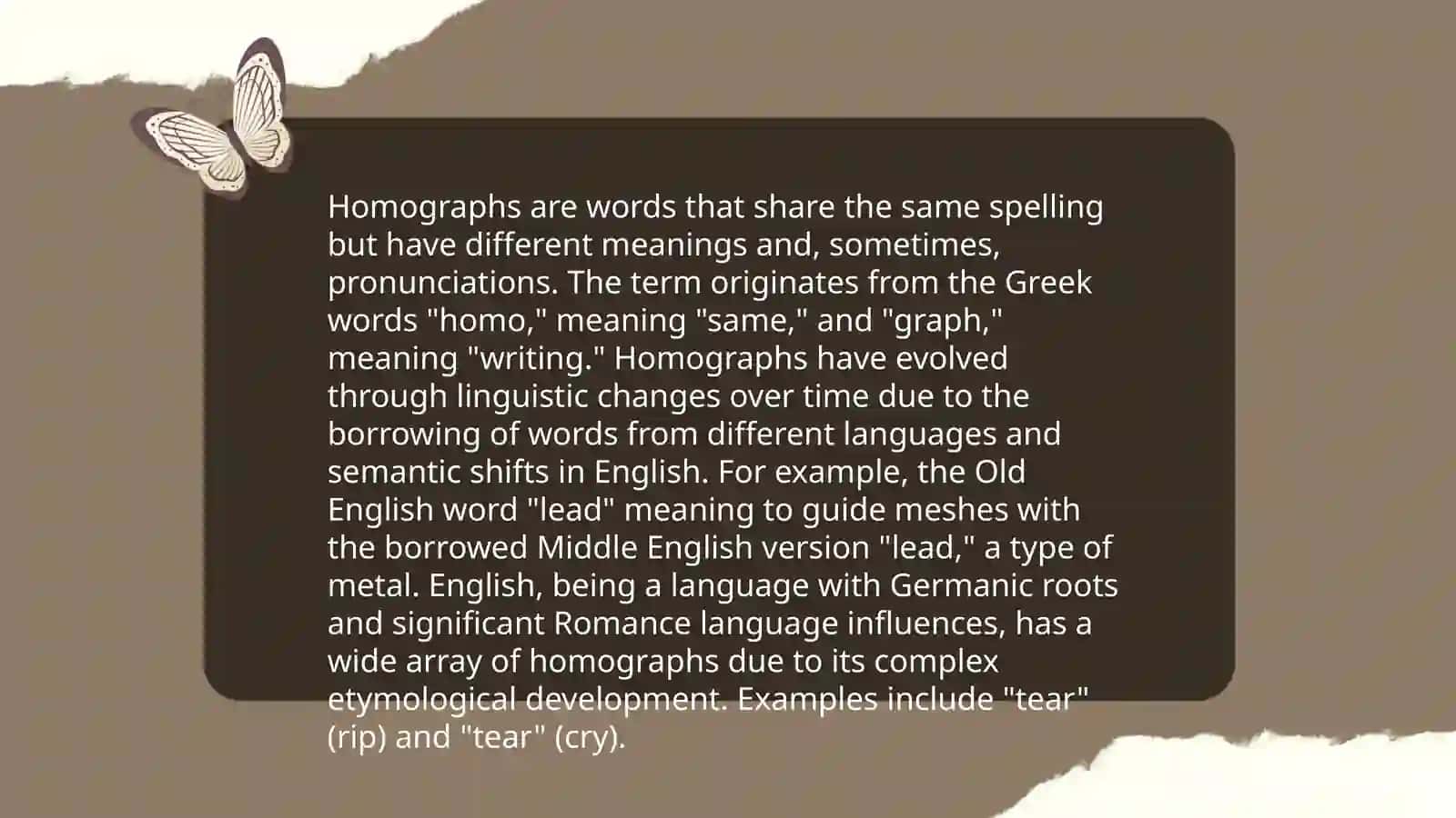 Homographs 4