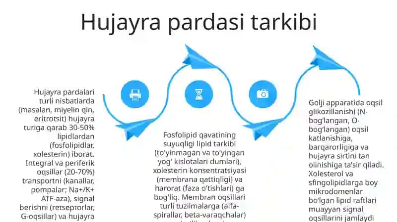 Lipidlar: Yog'lar va Membranalarning Xilma-xil Vazifalari 4
