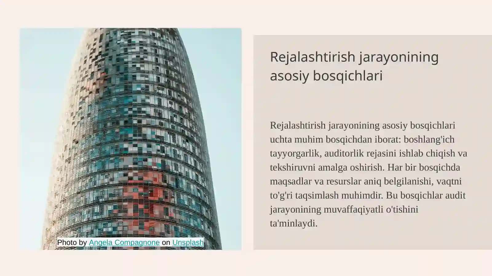 Auditorlik tekshiruvini rejalashtirish 4