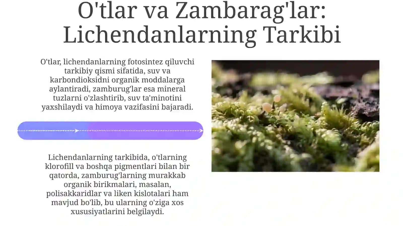 Lichenslarning Qishloq xo'jaligidagi ahamiyati 4