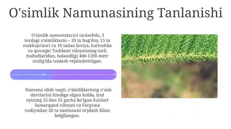 O'simlik Tuzulişidagi O'zgarishlarning Ekologik Omillar bilan Bog'liqligi 4