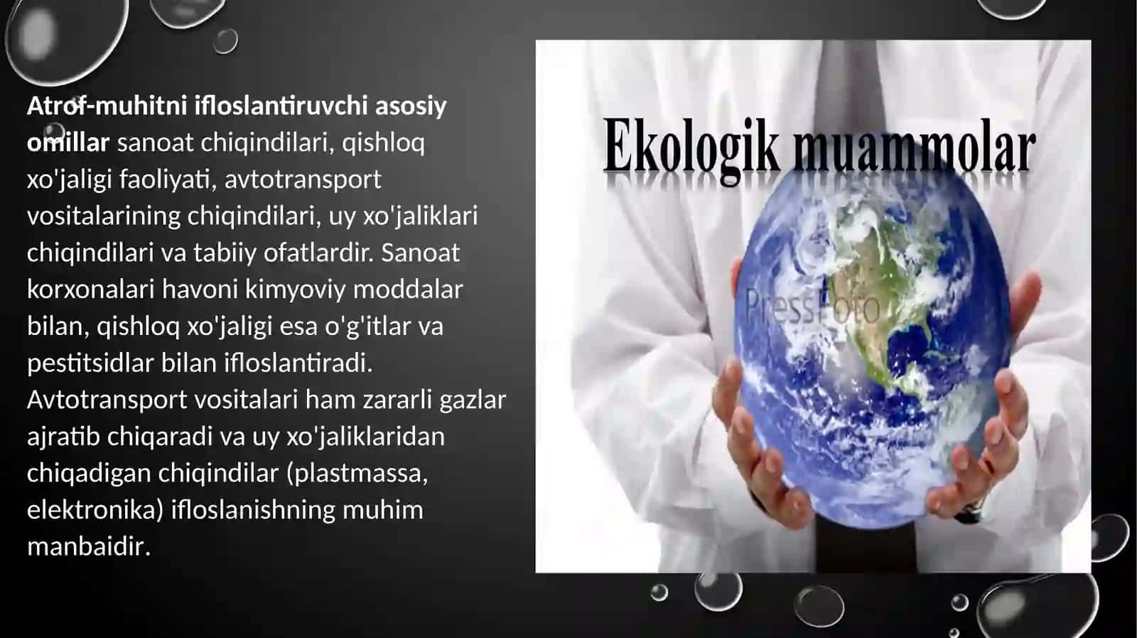 Ekalogiyafanidan taqdimot loyihasi 4