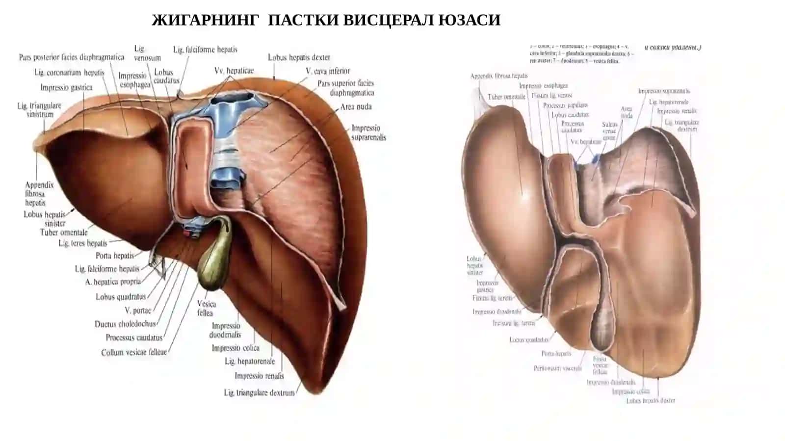 ЖИГАРРАКИ 4