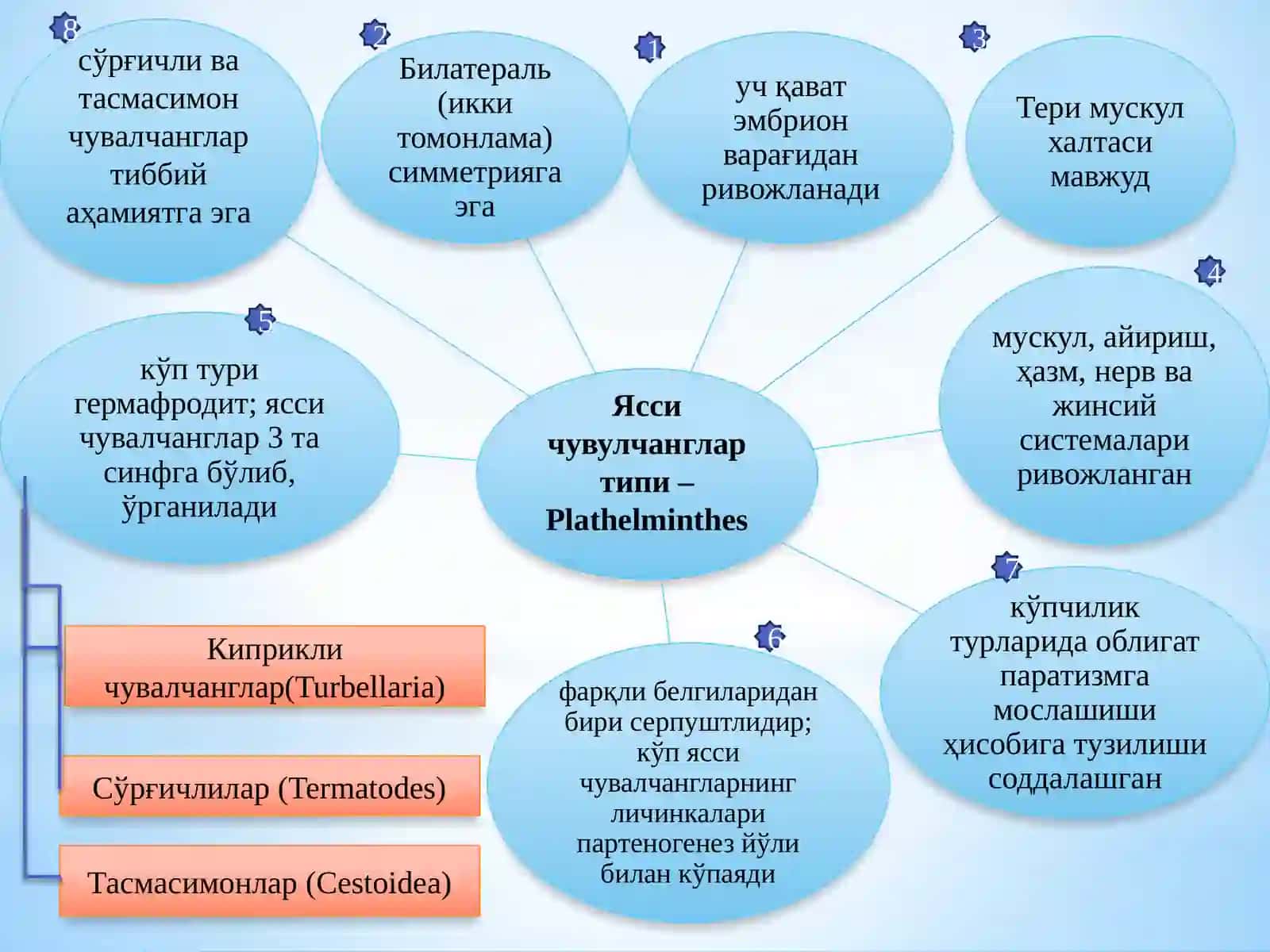 ТИББИЁТ ГЕЛЬМИНТОЛОГИЯСИ ВА АРАХНОЭНТОМОЛОГИЯСИ 4
