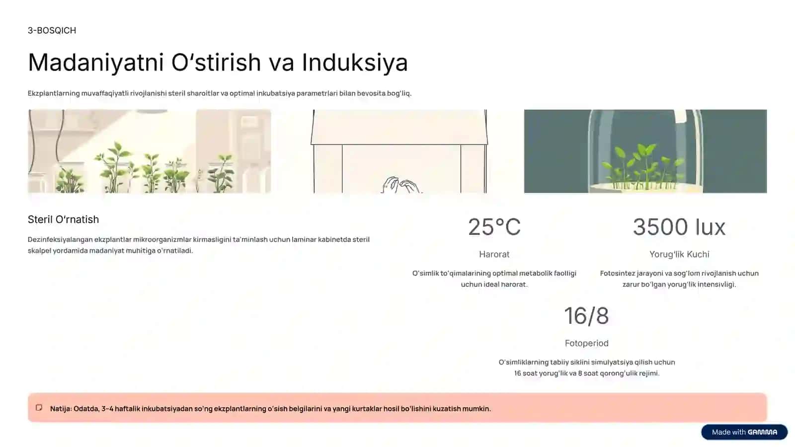 VITRO RAVACHINI YETISHTIRISH TEXNOLOGIYASI 4