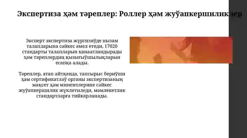 Келисимди баҳалаўда экспертлер 17020 стандартына 4