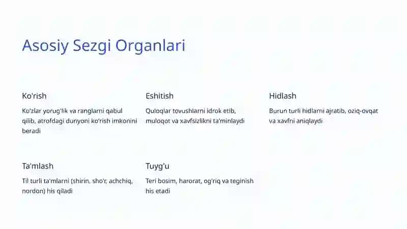 Sezgi Organlari: Inson Dunyo Bilan Aloqasi 4