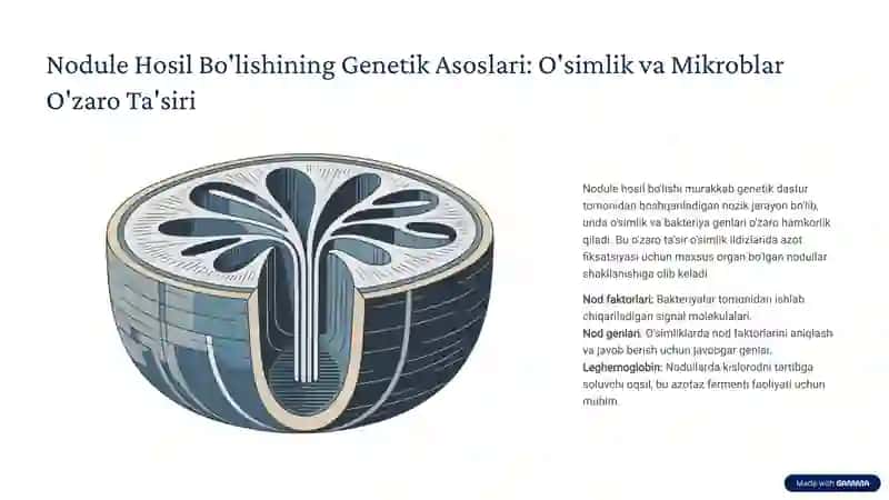 Azotni Oʻzlashtiruvchi Simbiotik Biotizimlar Evolyutsiyasi va Genetik Asoslari 4