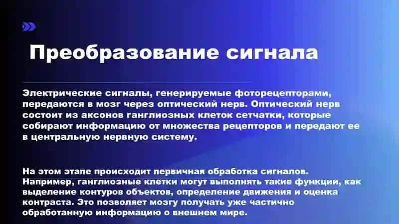 ЗРИТЕЛЬНАЯ ПЕРЦЕПЦИЯ 4