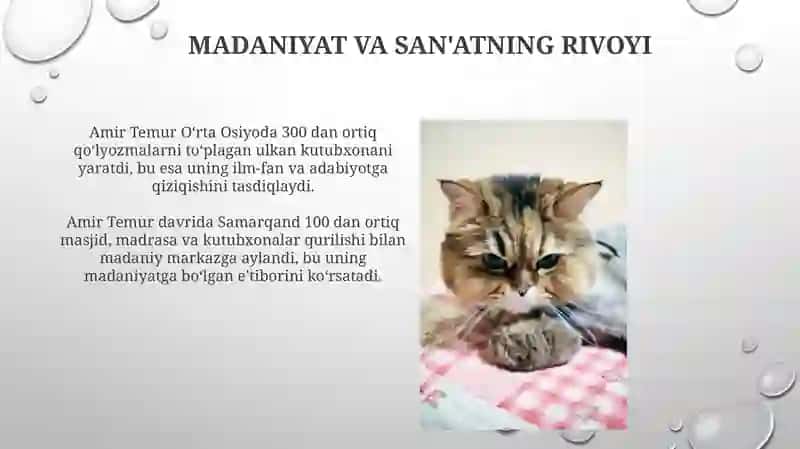 Amir Temur mening nigohimda 4