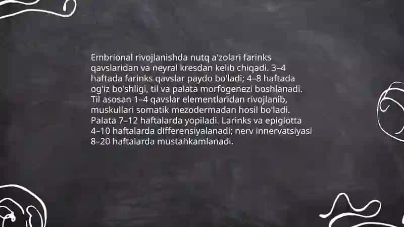 Nutq a’zolarining anatomiyasi vafiziologiyasi 4