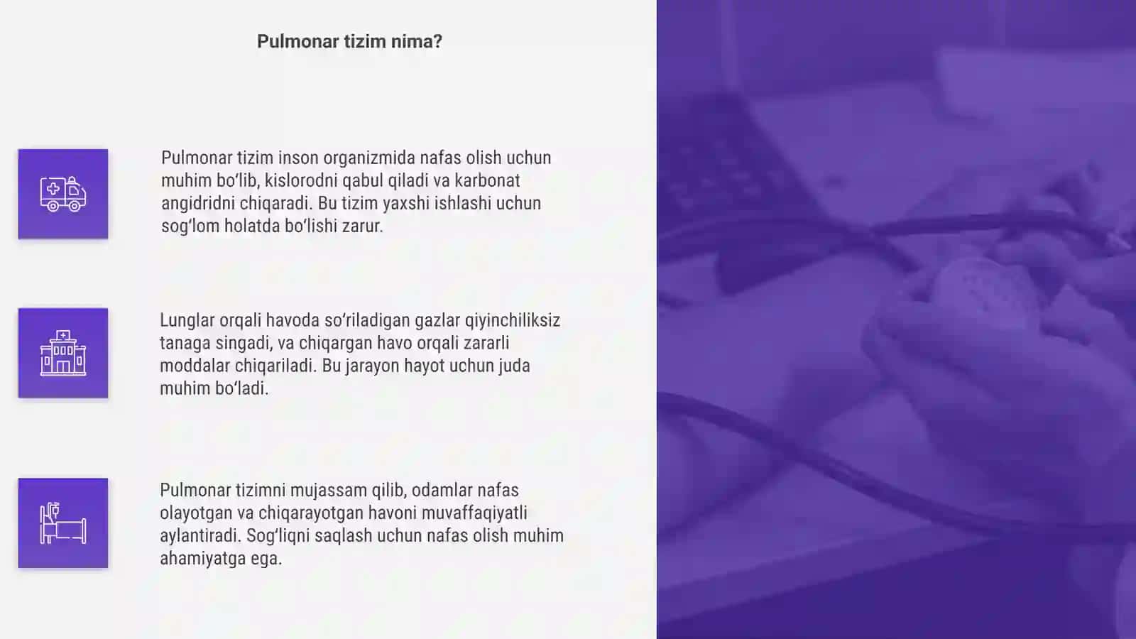 O'pka va uning pulmonar tizimi 4