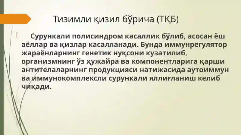 Тизимли Қизил Бўрича 4