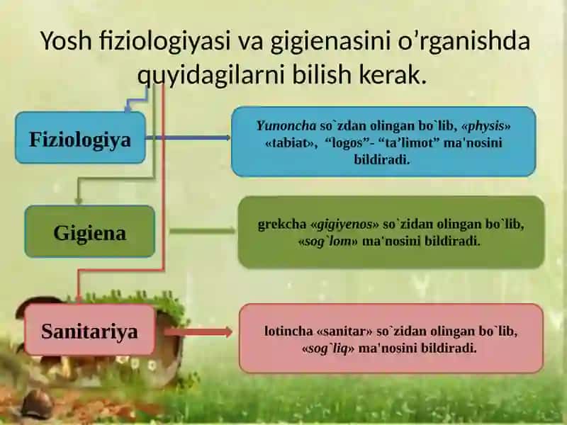 Yoshfiziologiyasi vagigiena 4