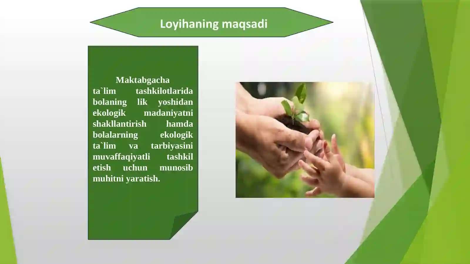 MTTta’limiyfaoliyatdarivojlantiruvchimuhitnitashkiletishda“Ekologikso‘qmoq”ningahamiyati 4