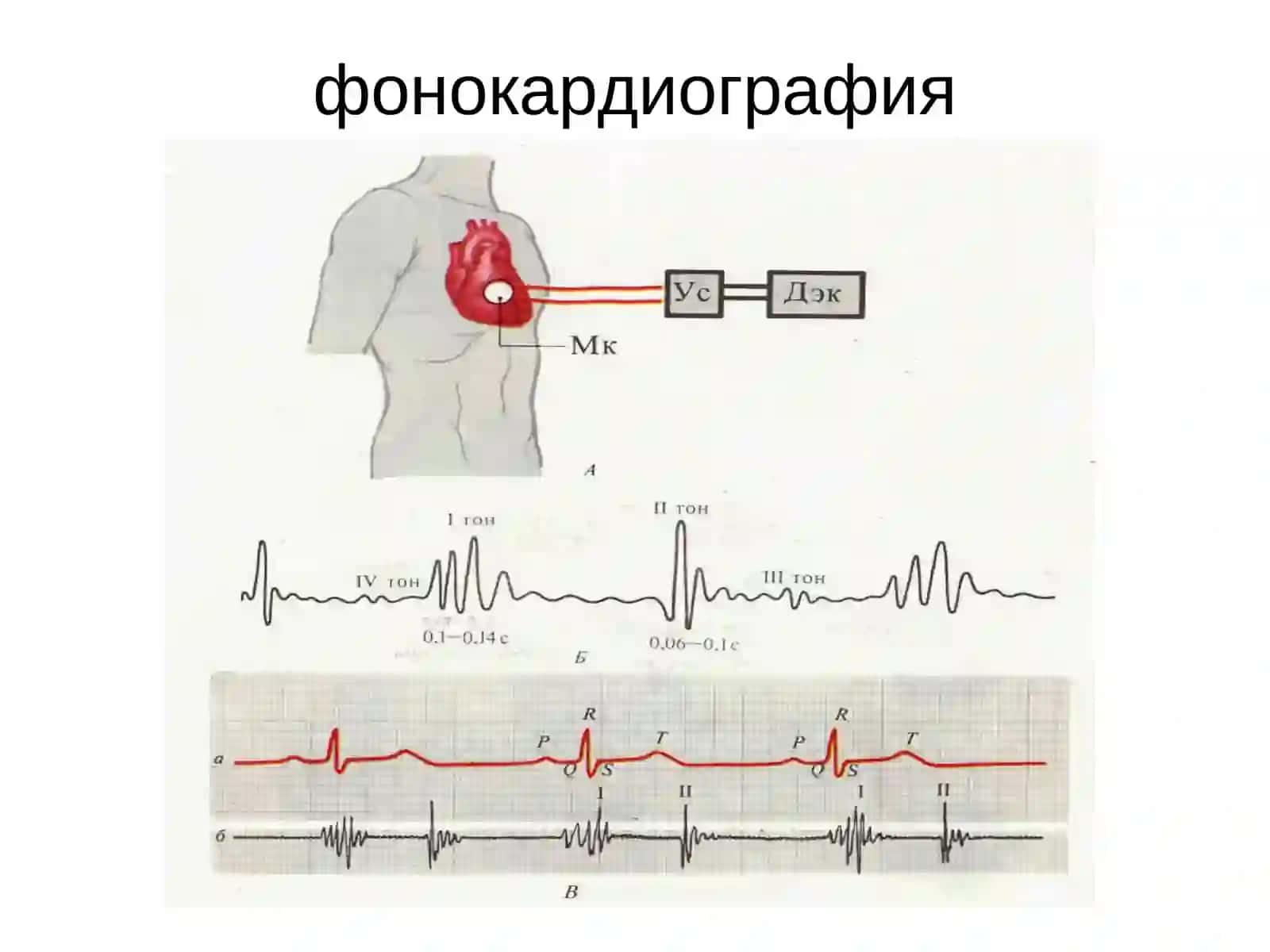 Юрак фаолиятининг ташқи кўрсаткичлари 4
