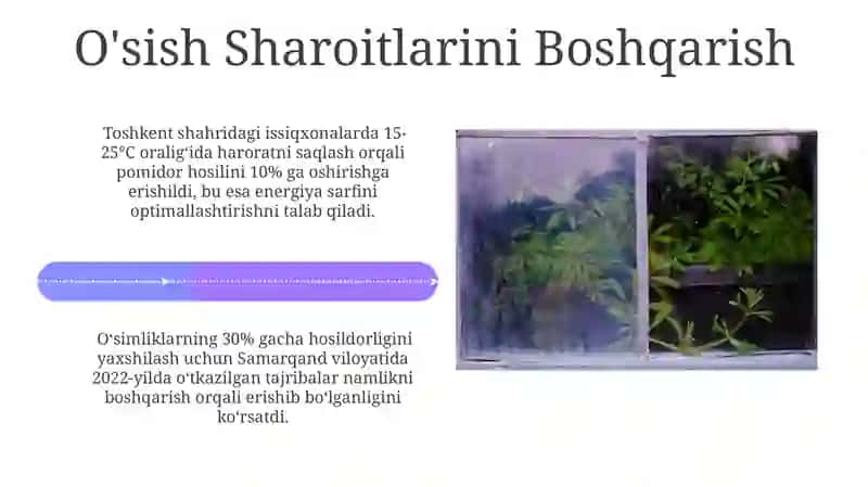 O'simliklarning Muhitga Moslashuvi 4