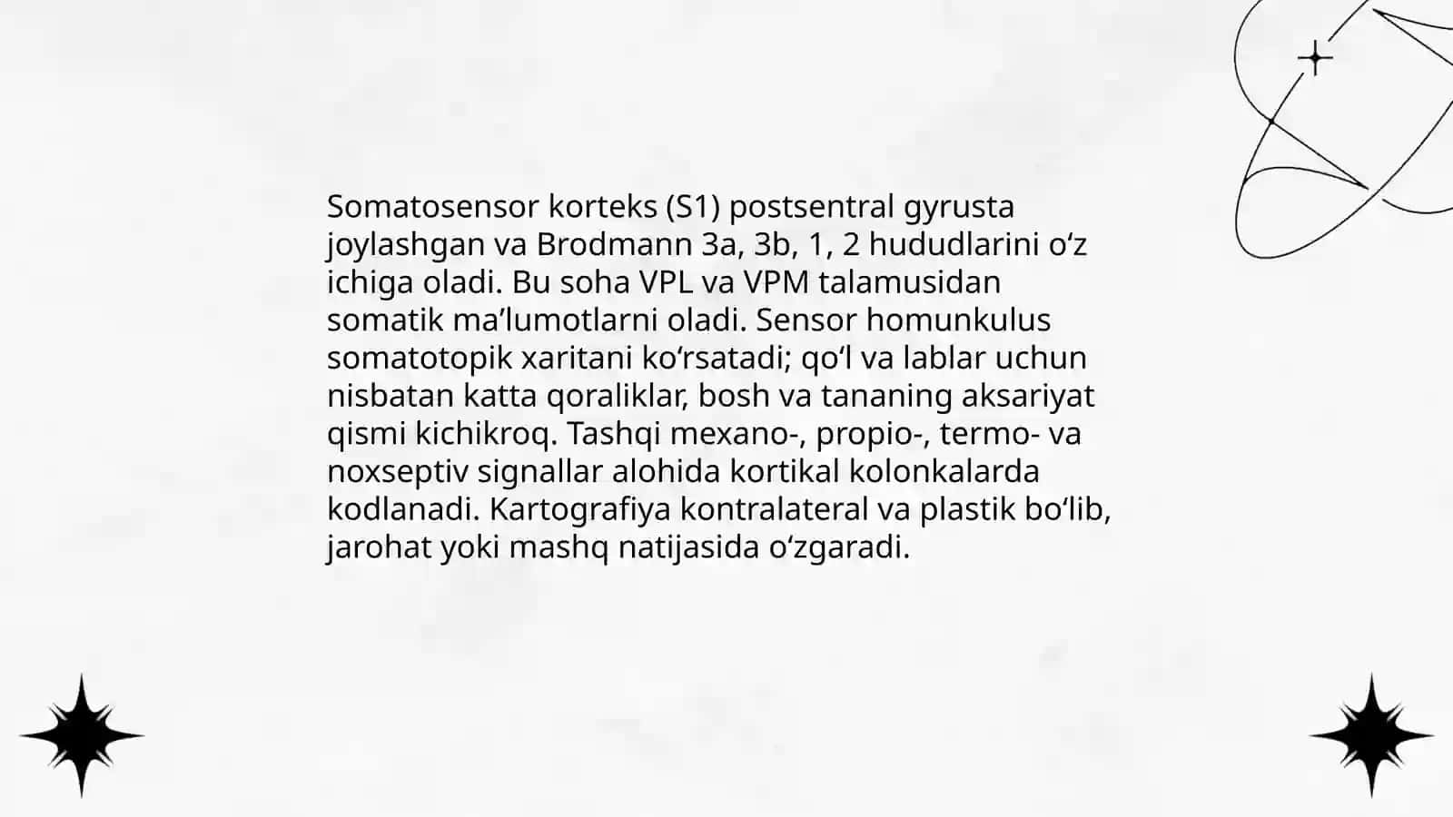 Miyaning funksional topografiyasi tushunchasi 4