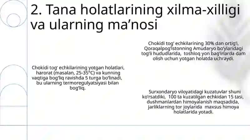 Chokidi togʻ jinslarining yotish shakllari 4