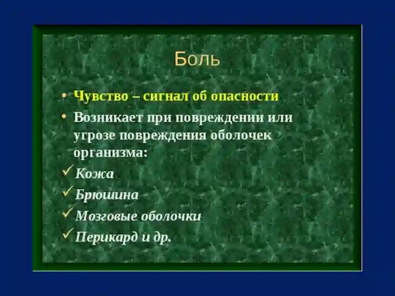 Физиология висцеральной анализаторной системы 4