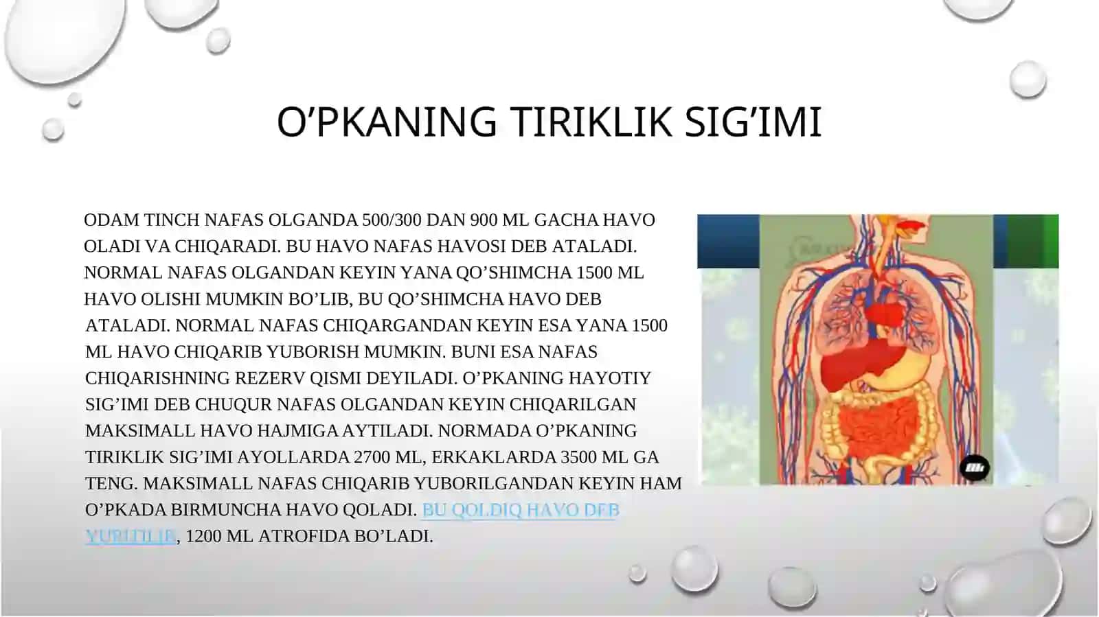 Jismoniy yuklamaning yurak–qontomir va nafas tizimi faoliyatiga ta’sirini o‘rganish 4