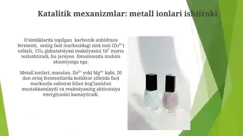 Kataliz nazariyalari. Fermentativ kataliz 4