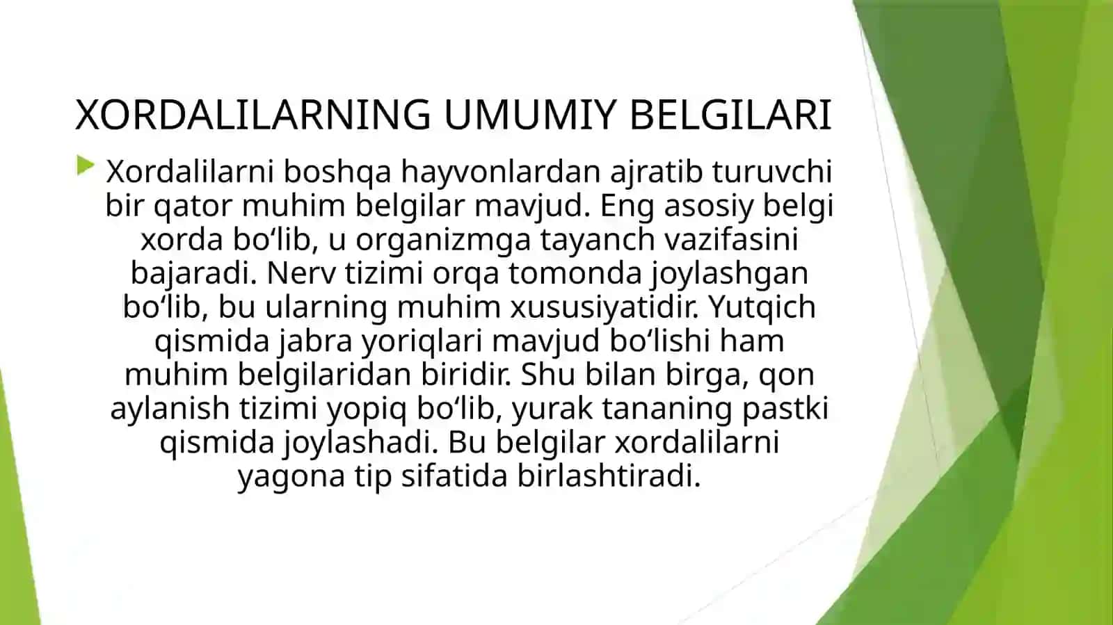 Xordalilar tipi – Chordata,Lichinkaxordalilar– Urochordatakenjatipiningsistematikasivafilogeniyasi 4