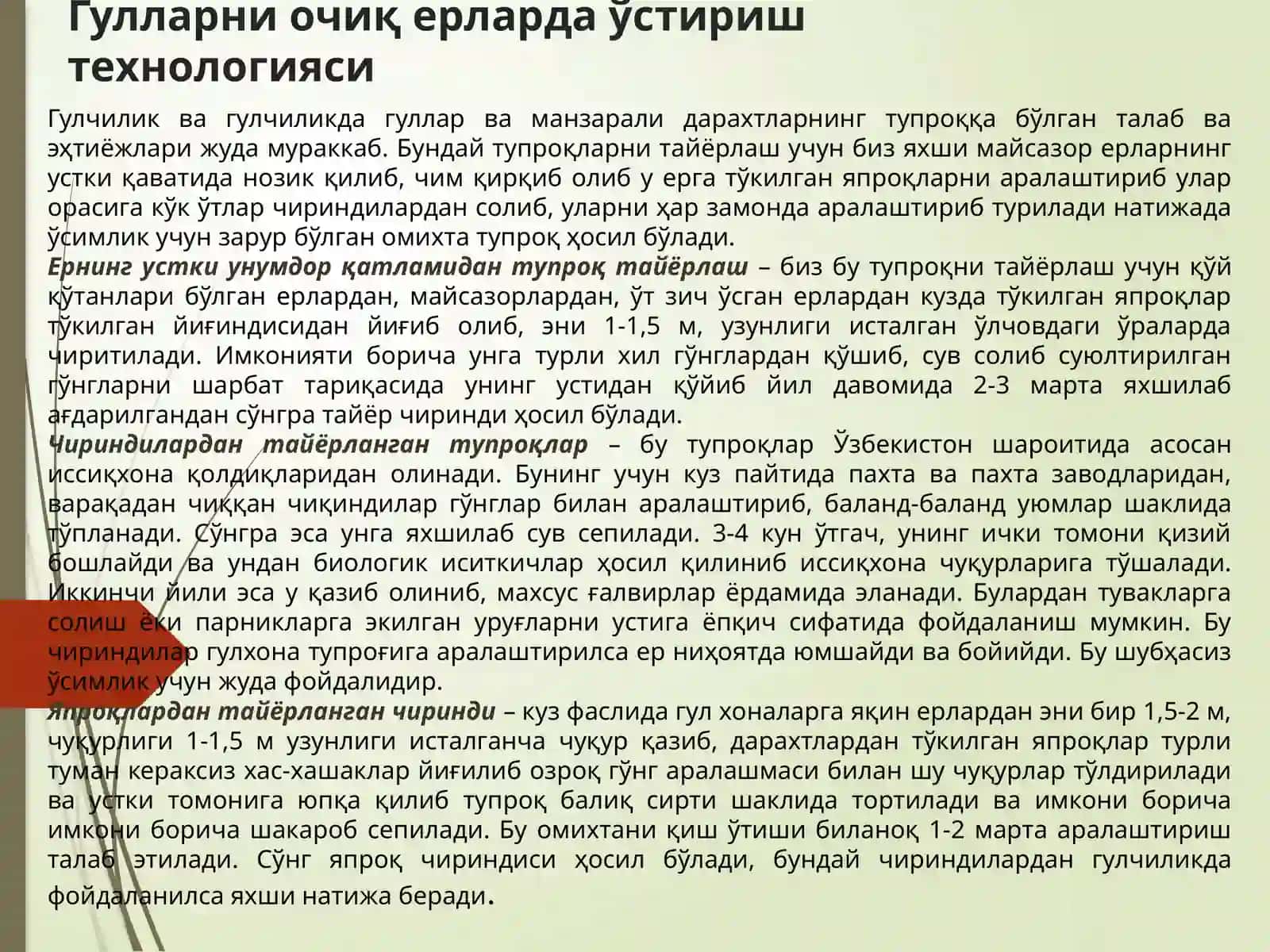 Гулларни очиқ ва ёпиқ ерларда ўстириш технологияси 4