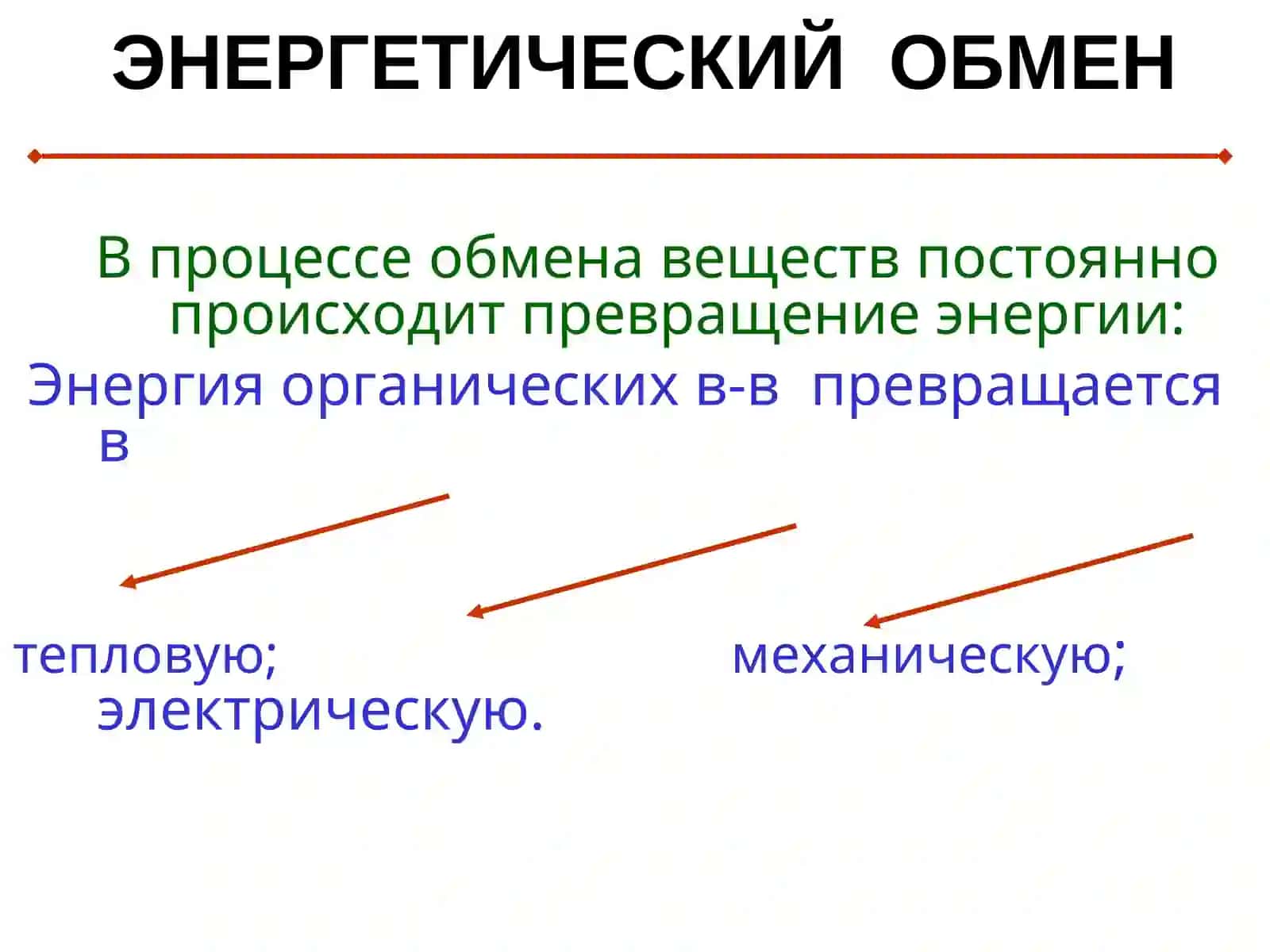 ФИЗИОЛОГИЯ ОБМЕНА ВЕЩЕСТВ И ЭНЕРГИИ. ТЕРМОРЕГУЛЯЦИЯ 4