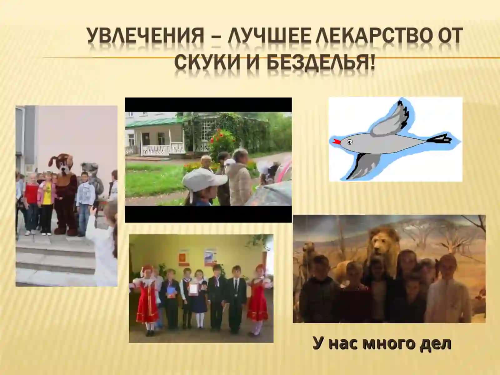 Система дополнительного образования 4