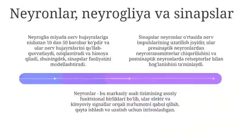 Nerv markazlarining umumiy fiziologiyasi va xususiyatlari 4