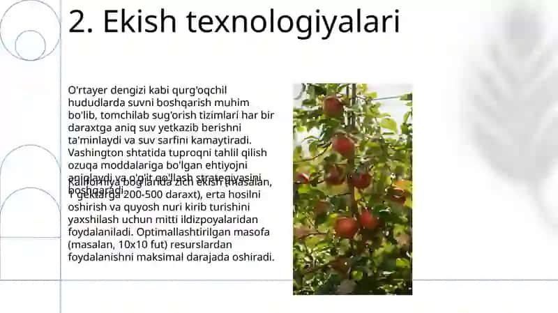 Meva bogʻlari tashkil etish va parvarish qilish usullari 4