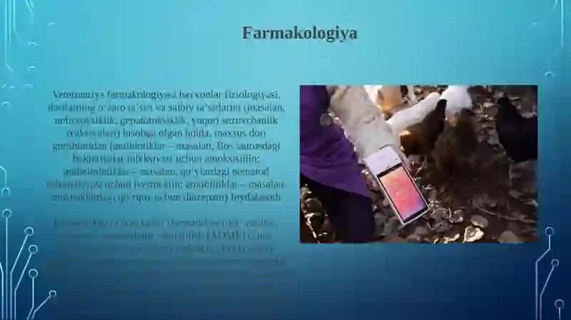 Veterinariya sohasiga oid terminlar 4