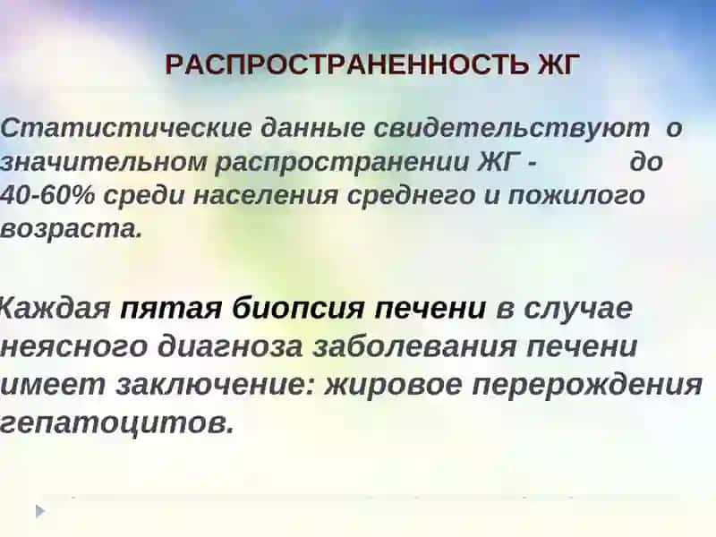 Жировой гепатоз 4