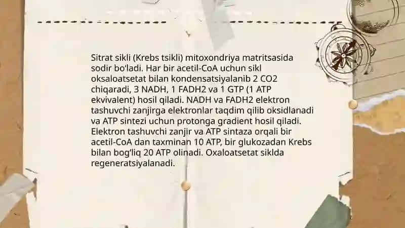 Metabolizm jarayonida energiya hosil bõlishi va sarflanishi 4