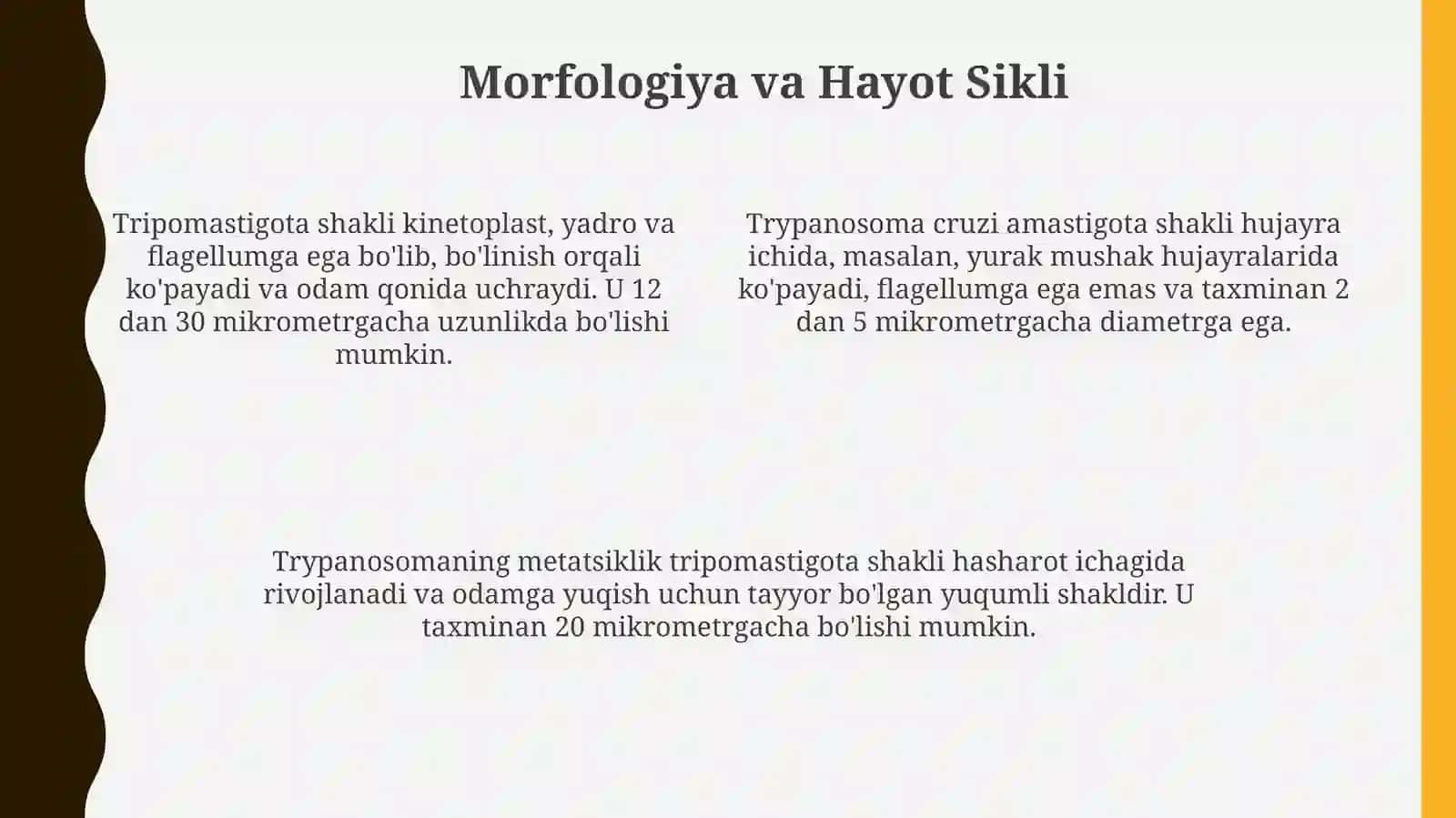 Tripanosomalaravlodi. (Tripanosomozkasalliginiqo’zg’ovchilari) 4