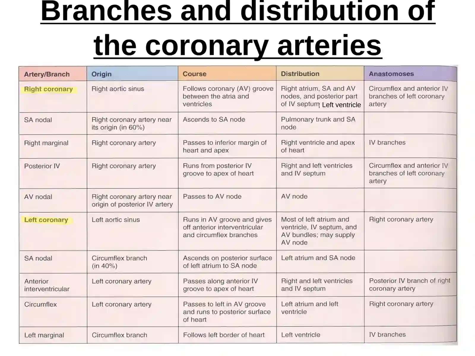 Anatomy of THE HEARTcon’t 4