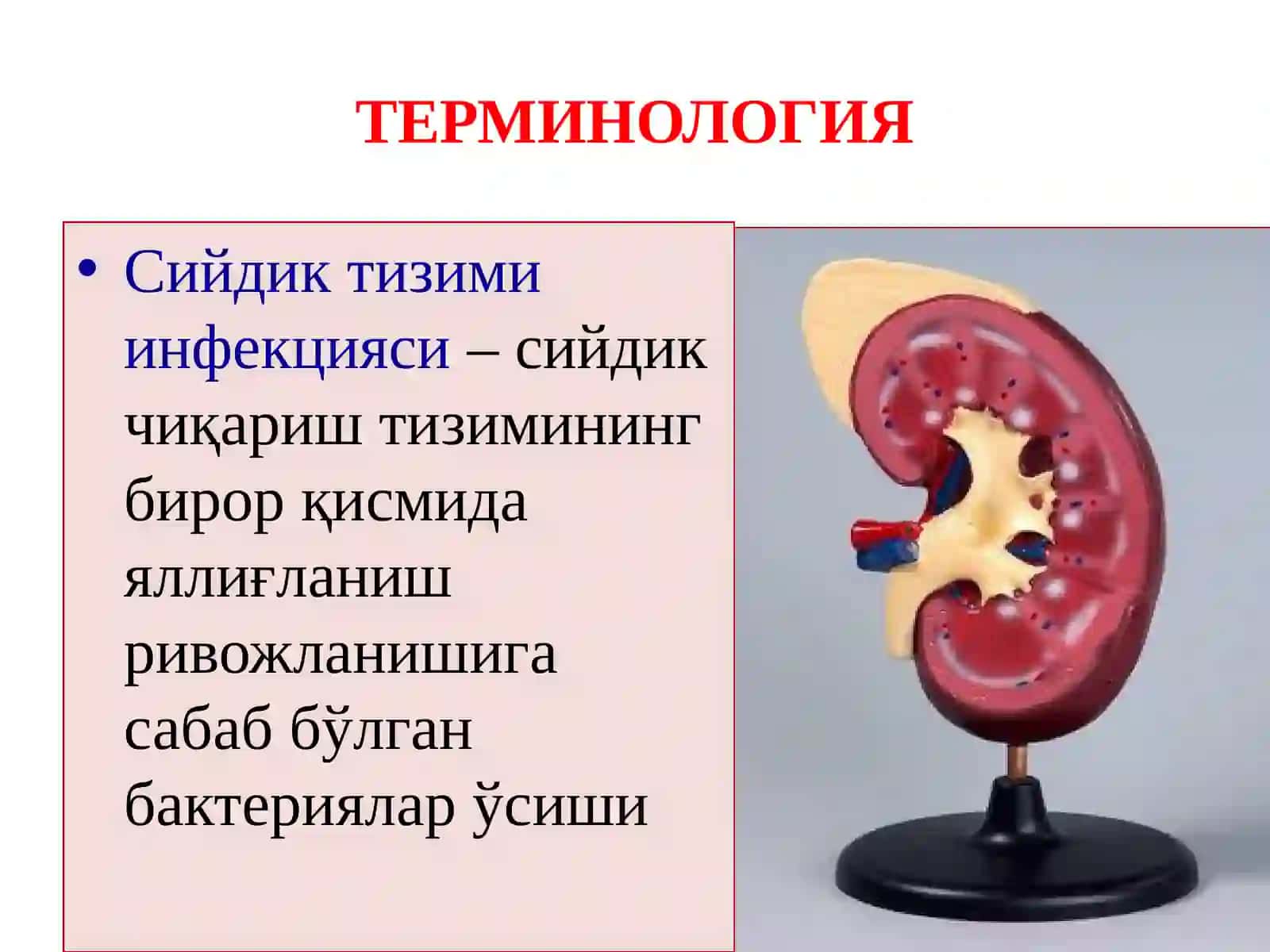 БОЛАЛАРДА ПИЕЛОНЕФРИТЛАР 4