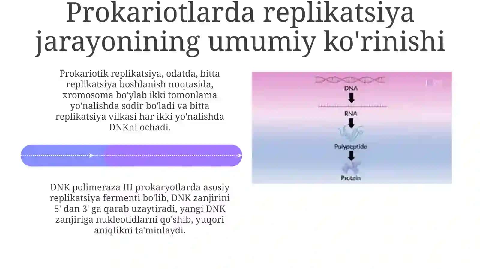 Prokariot organizmlardagi replikatsiya jarayoni 4