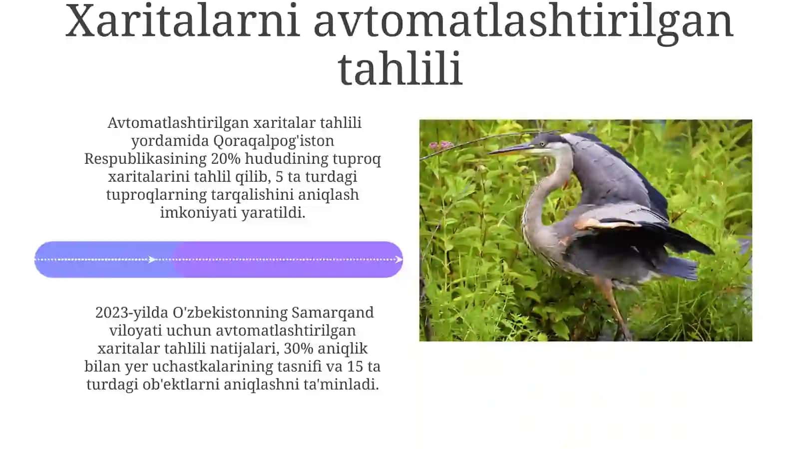 Kartagrafikmateriallargaasoslanganholdakartagrafikasarlarnipragnozlash 4
