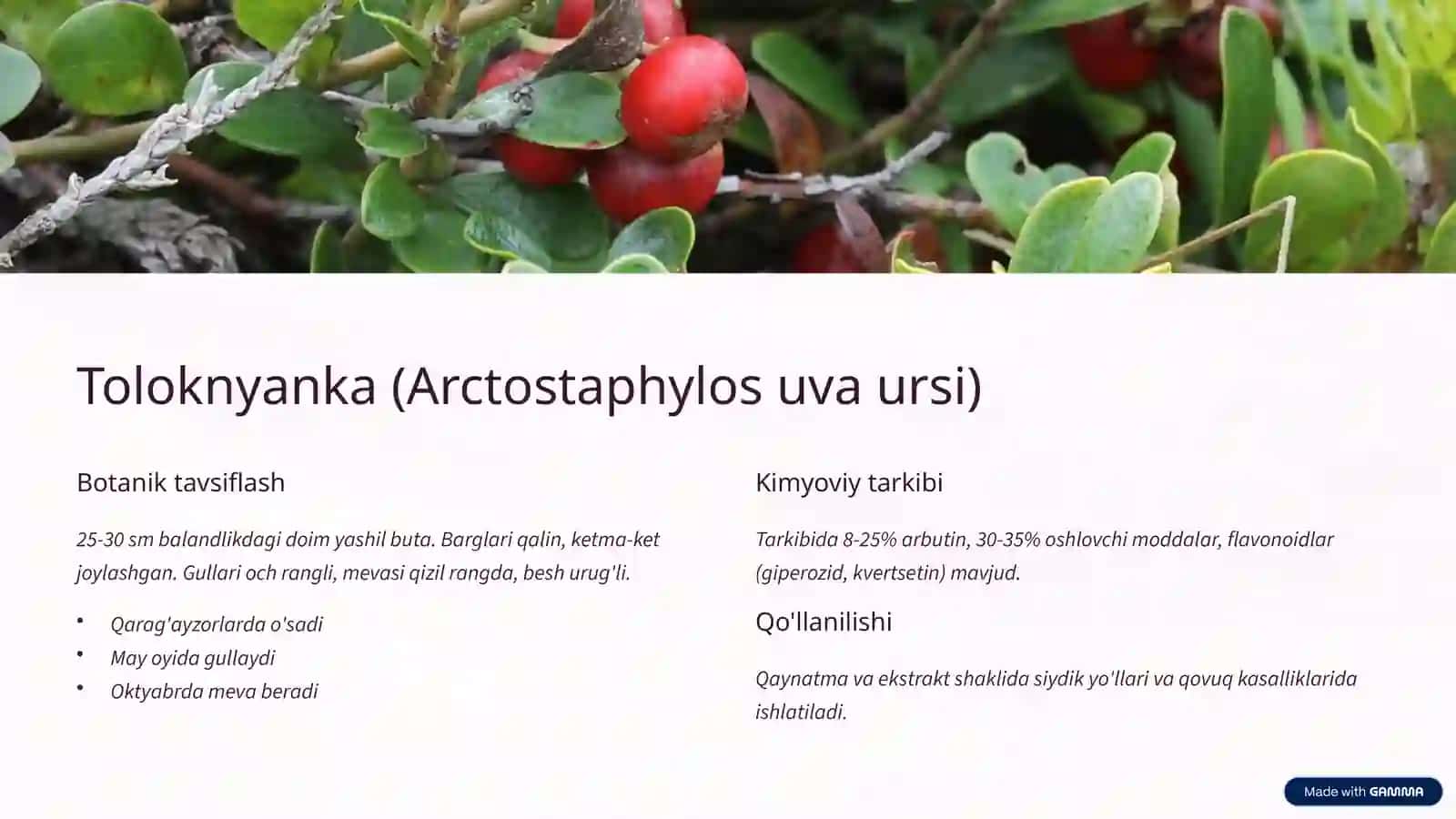 Fenolglikozidlar bo'lgan dorivor o'simlik va mahsulotlar 4