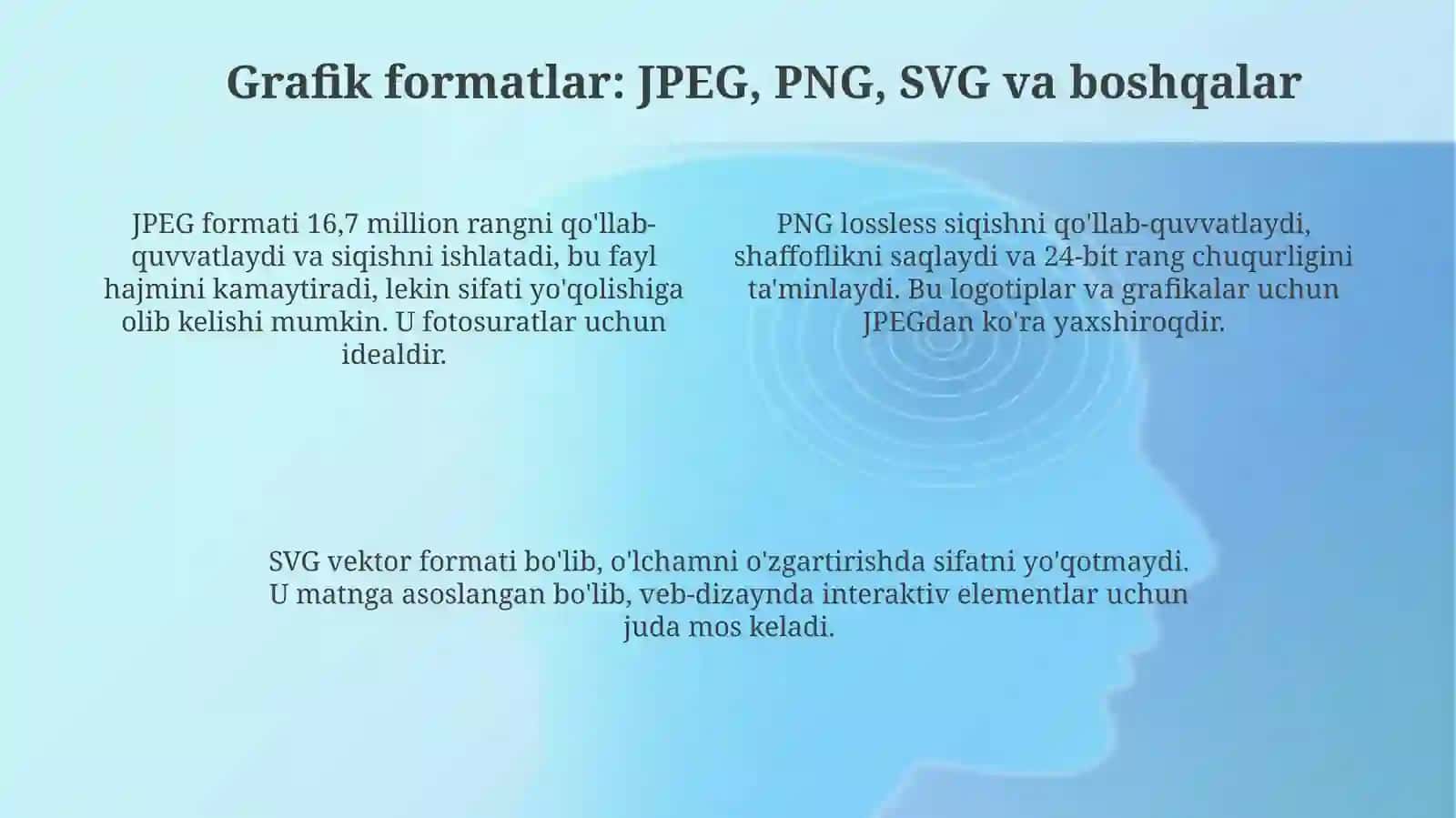 Raster va vektor grafikasi: asosiy tushunchalar va farqlar 4