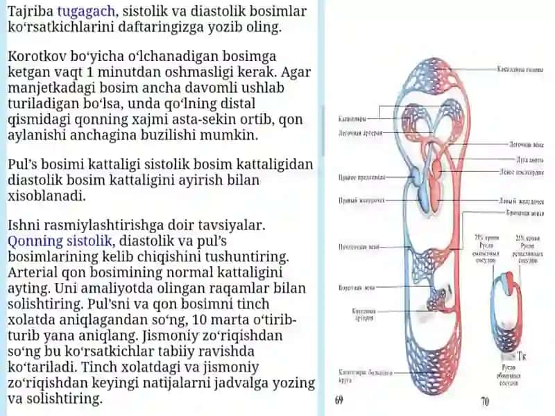 Jismoniyyuklamalarning yurak qontomir va nafas tizimi faoliyati gata'siri 4