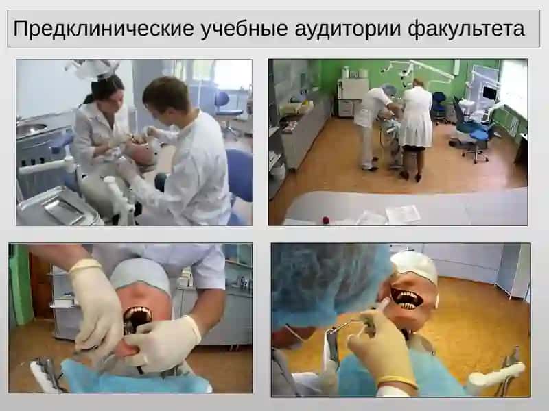 СТОМАТОЛОГИЯ 4