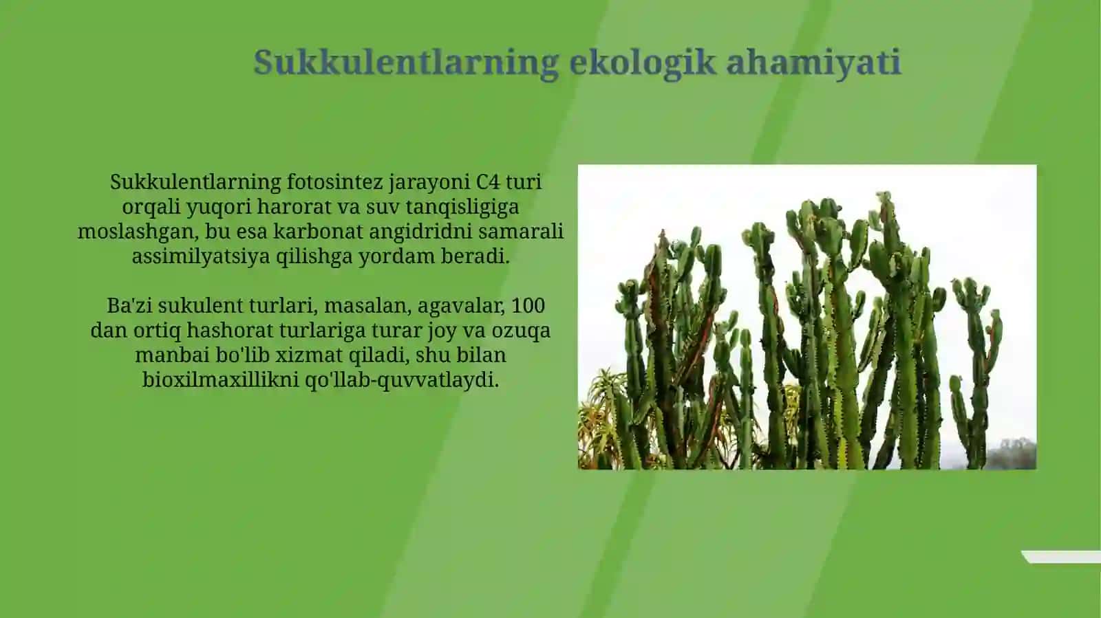 Suvoʻtlarning sistematikasi, tabiatda va inson hayotidagi ahamiyati 4
